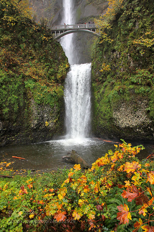 Canon EOS 50D sample photo. Multnomah falls photography
