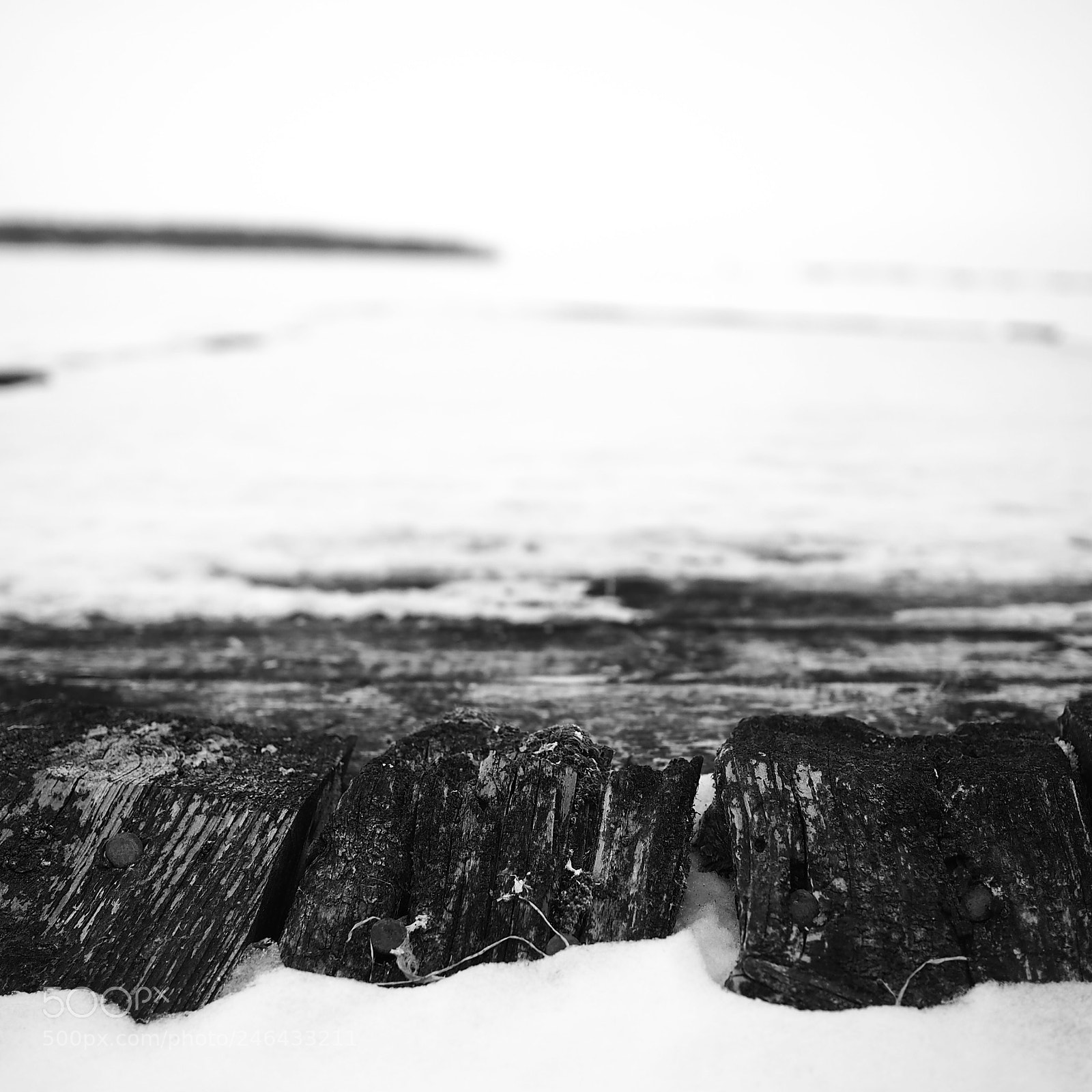 Olympus OM-D E-M5 sample photo. Dock photography