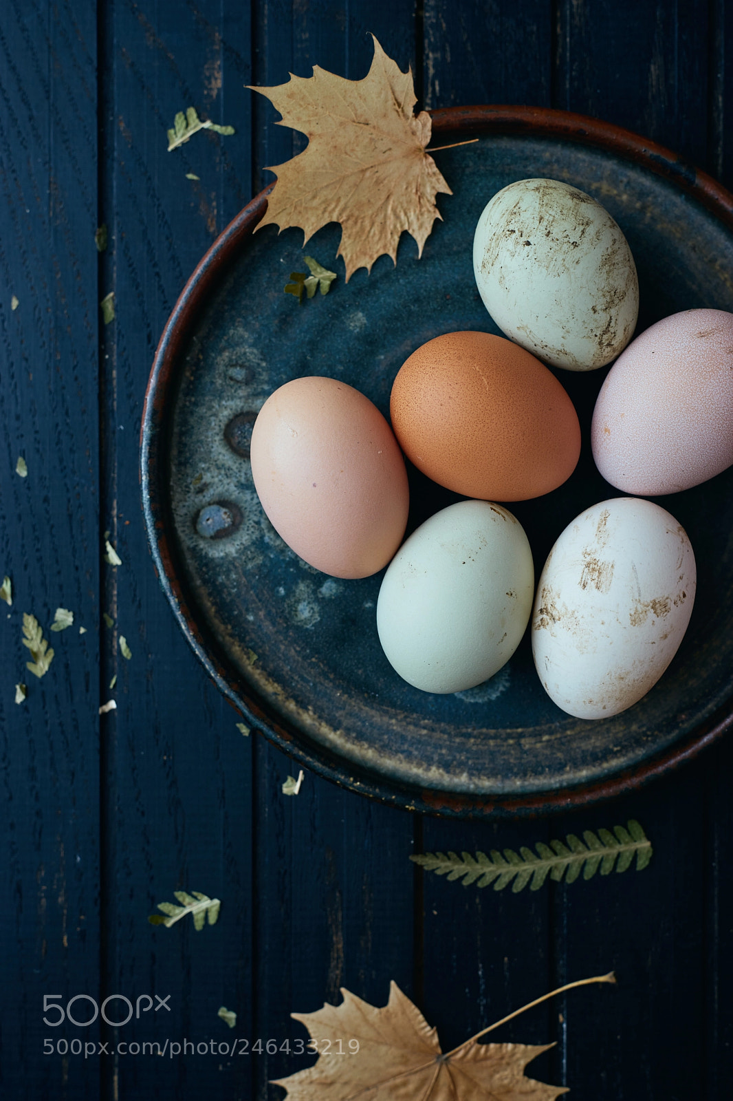 Sony a7 sample photo. Raw organic eggs photography