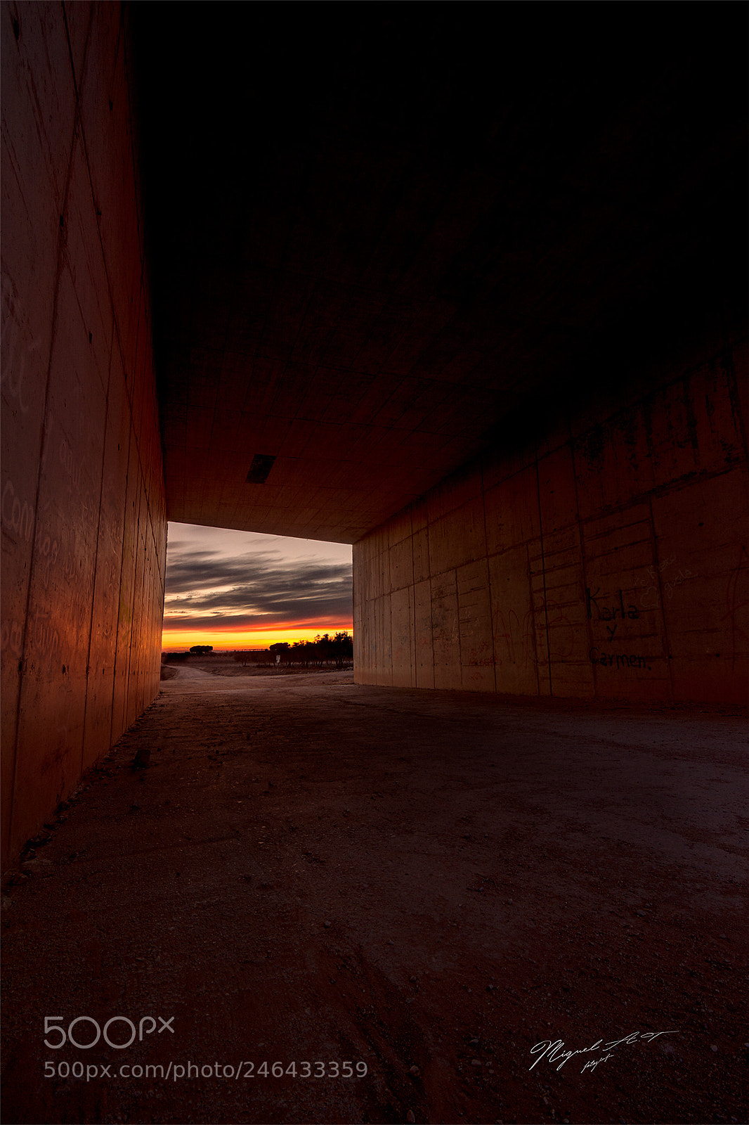 Nikon D7200 sample photo. Puente photography