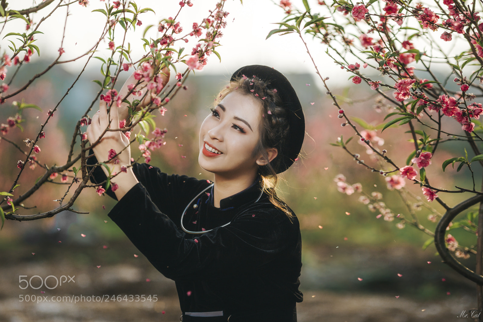 Canon EOS 6D Mark II sample photo. Img photography