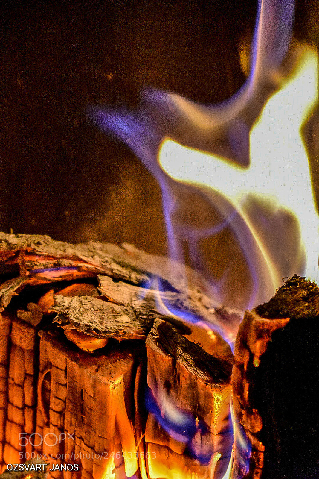 Nikon D3400 sample photo. Burning ? photography