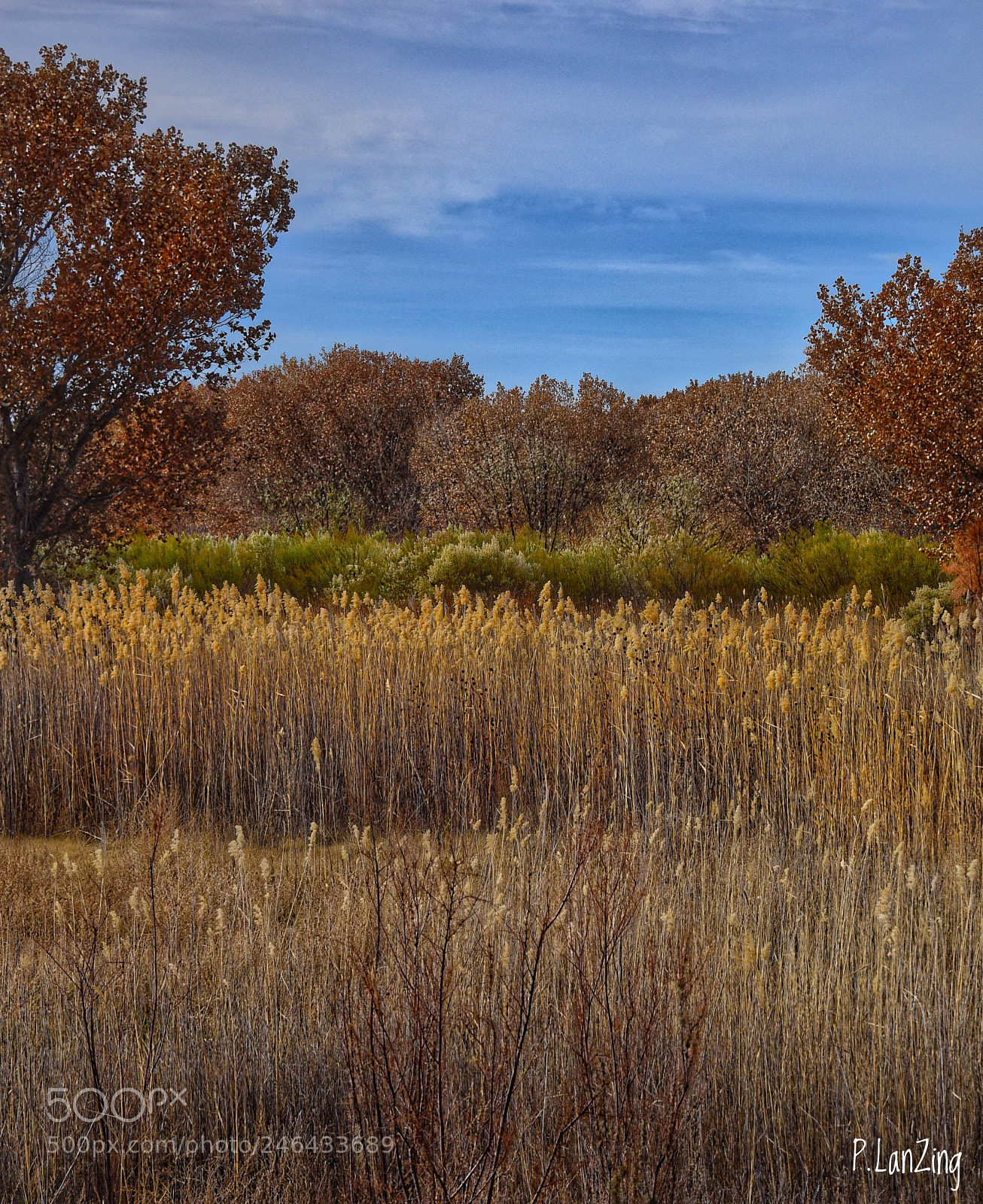 Nikon D810 sample photo. Harmony photography