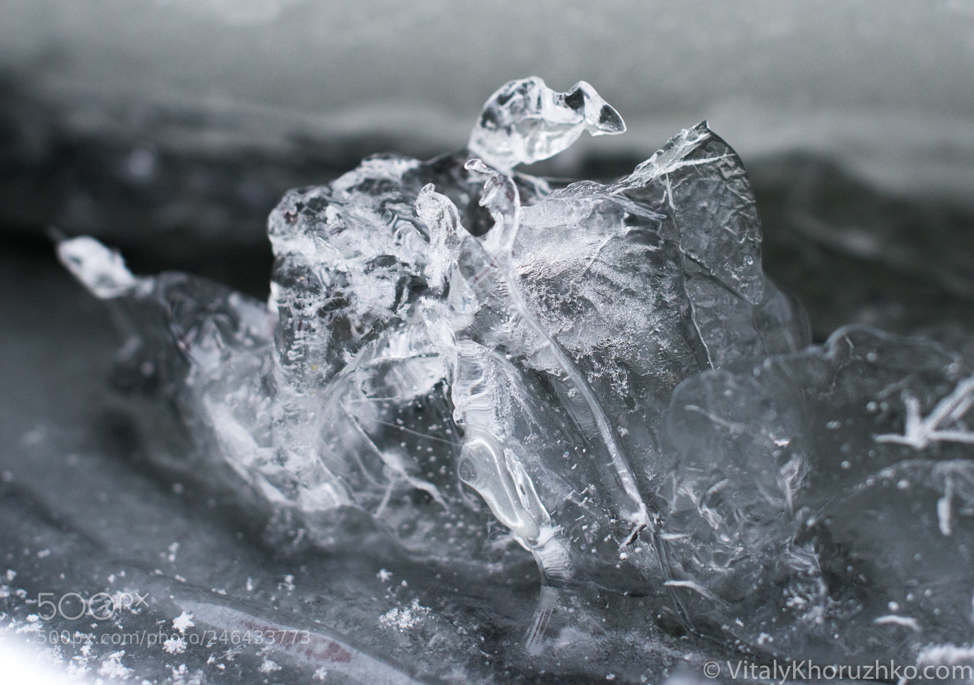 Nikon D810 sample photo. Just ice photography