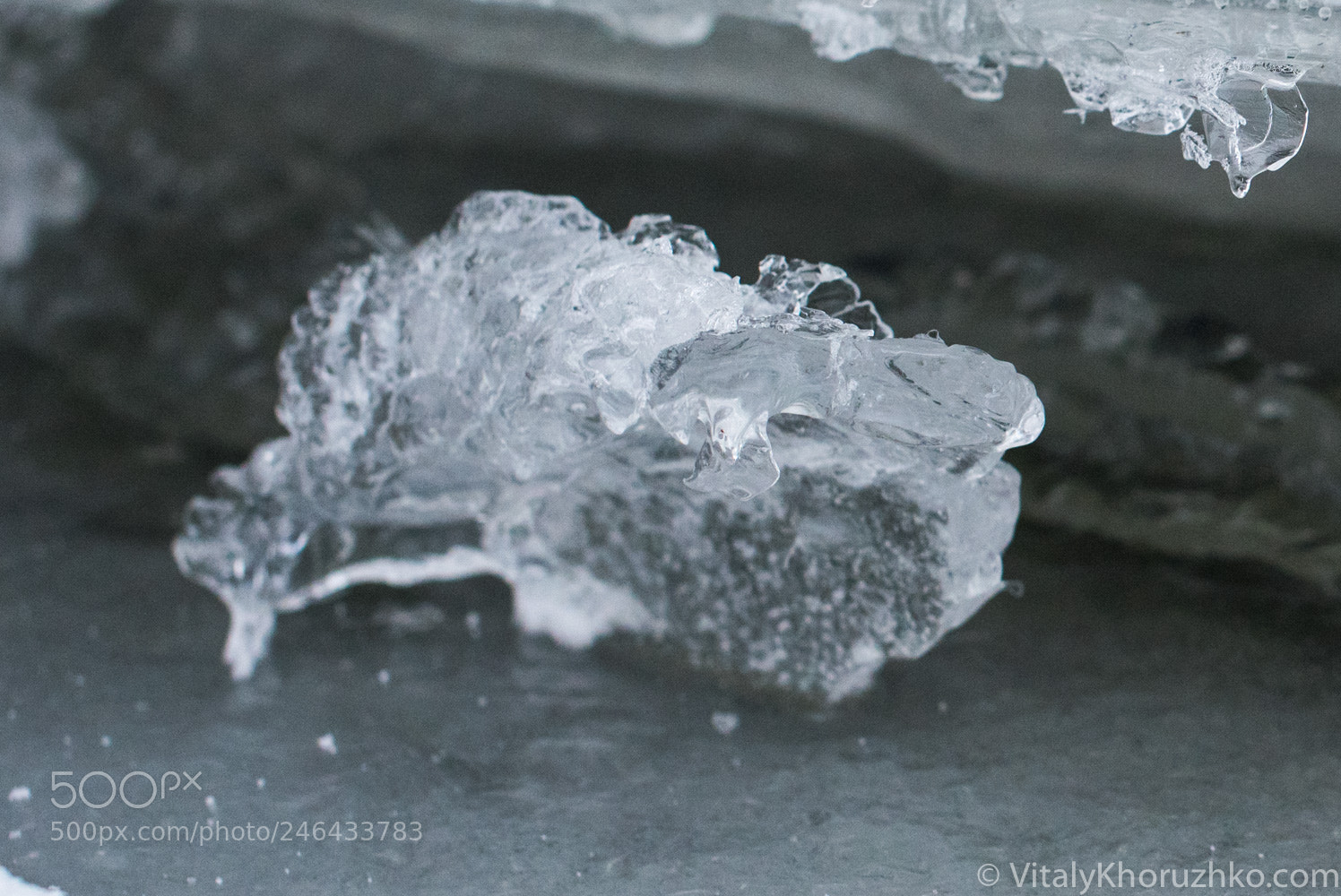 Nikon D810 sample photo. Just ice photography