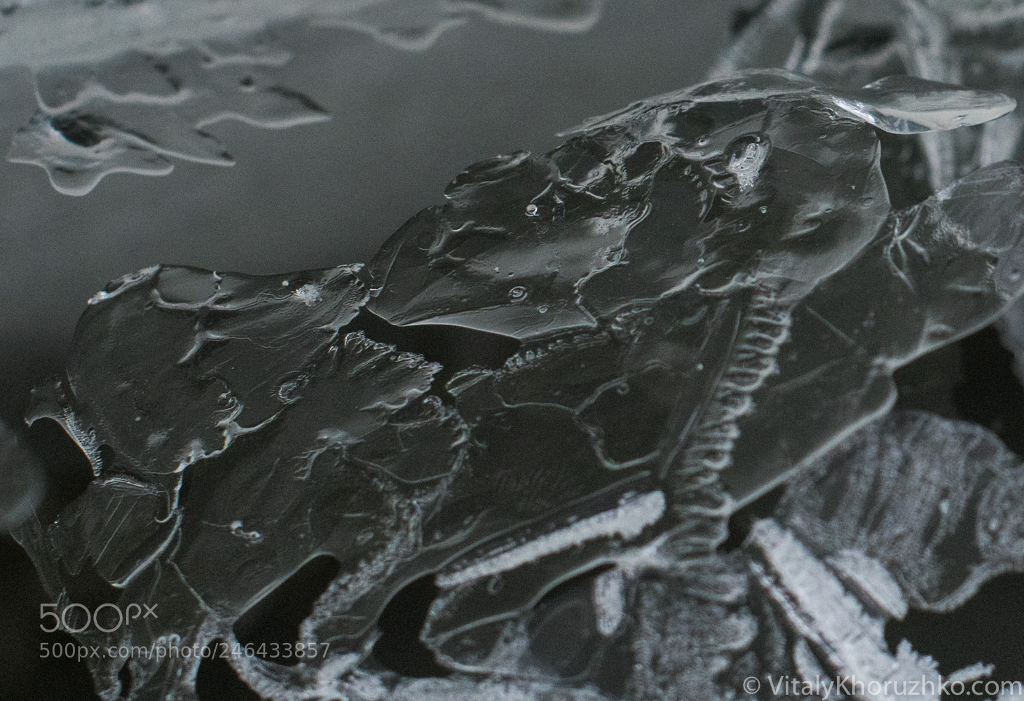Nikon D810 sample photo. Just ice photography