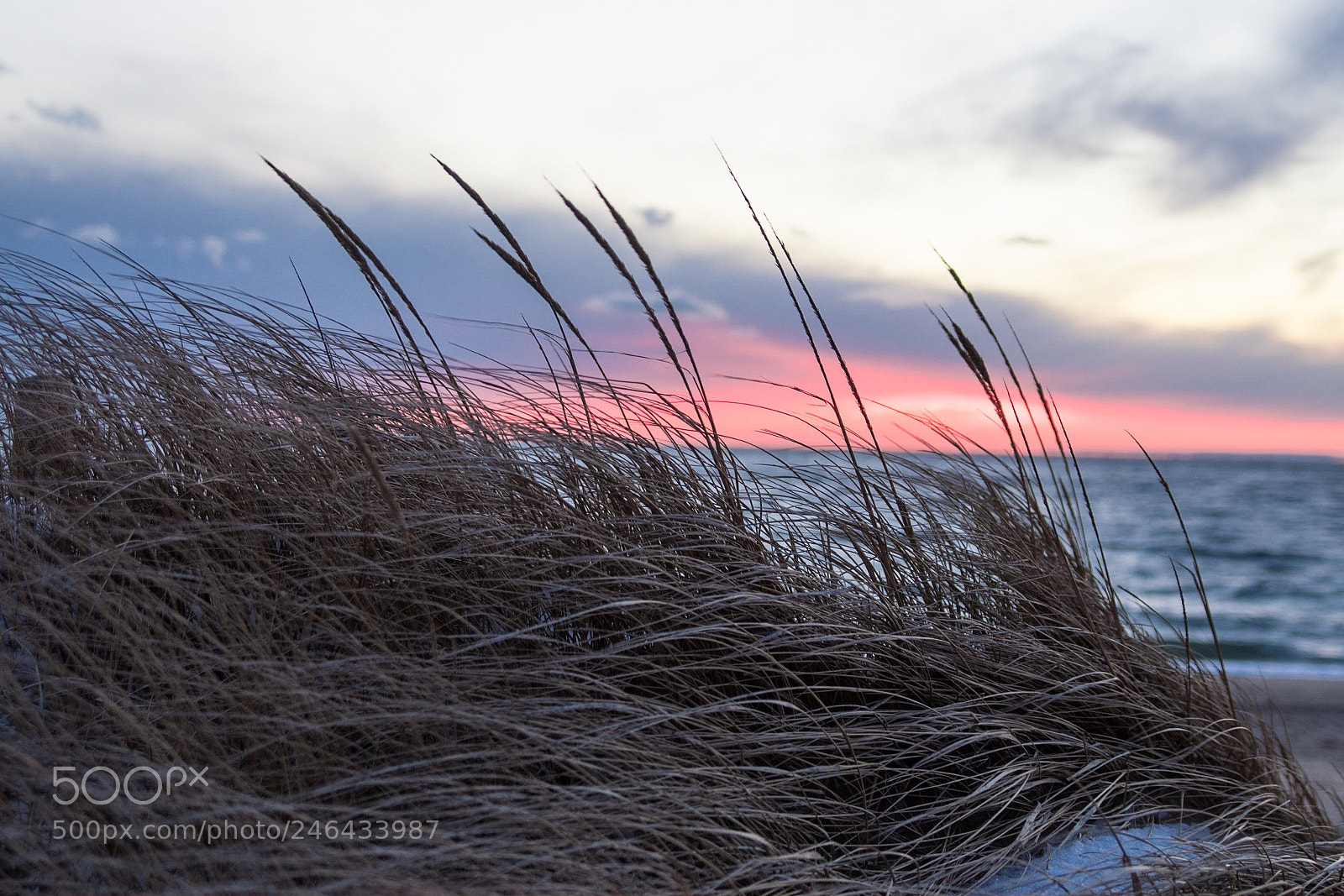Sony SLT-A68 sample photo. Cape cod winter sunset photography