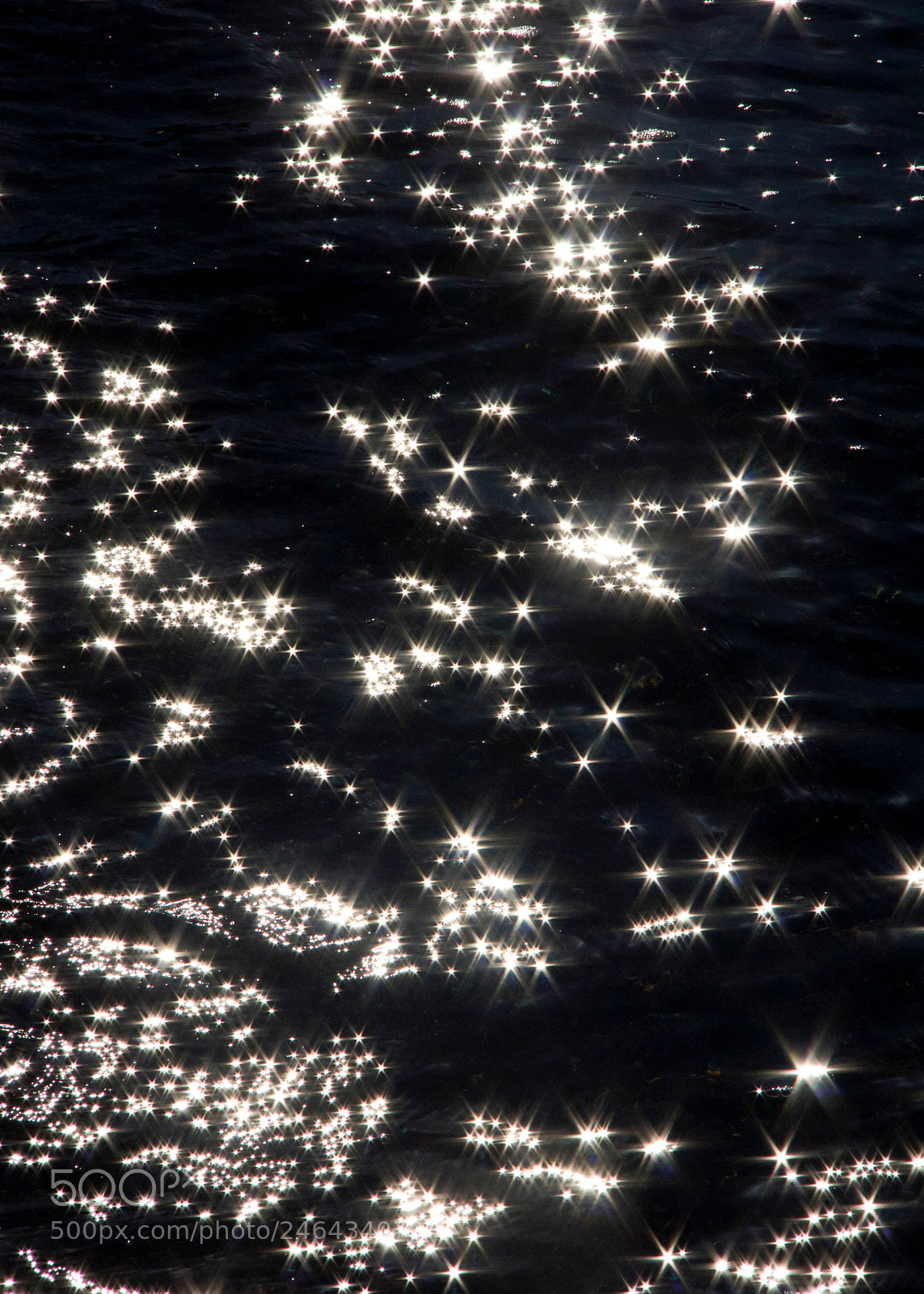 Canon EOS 60D sample photo. Sun sparkles i photography