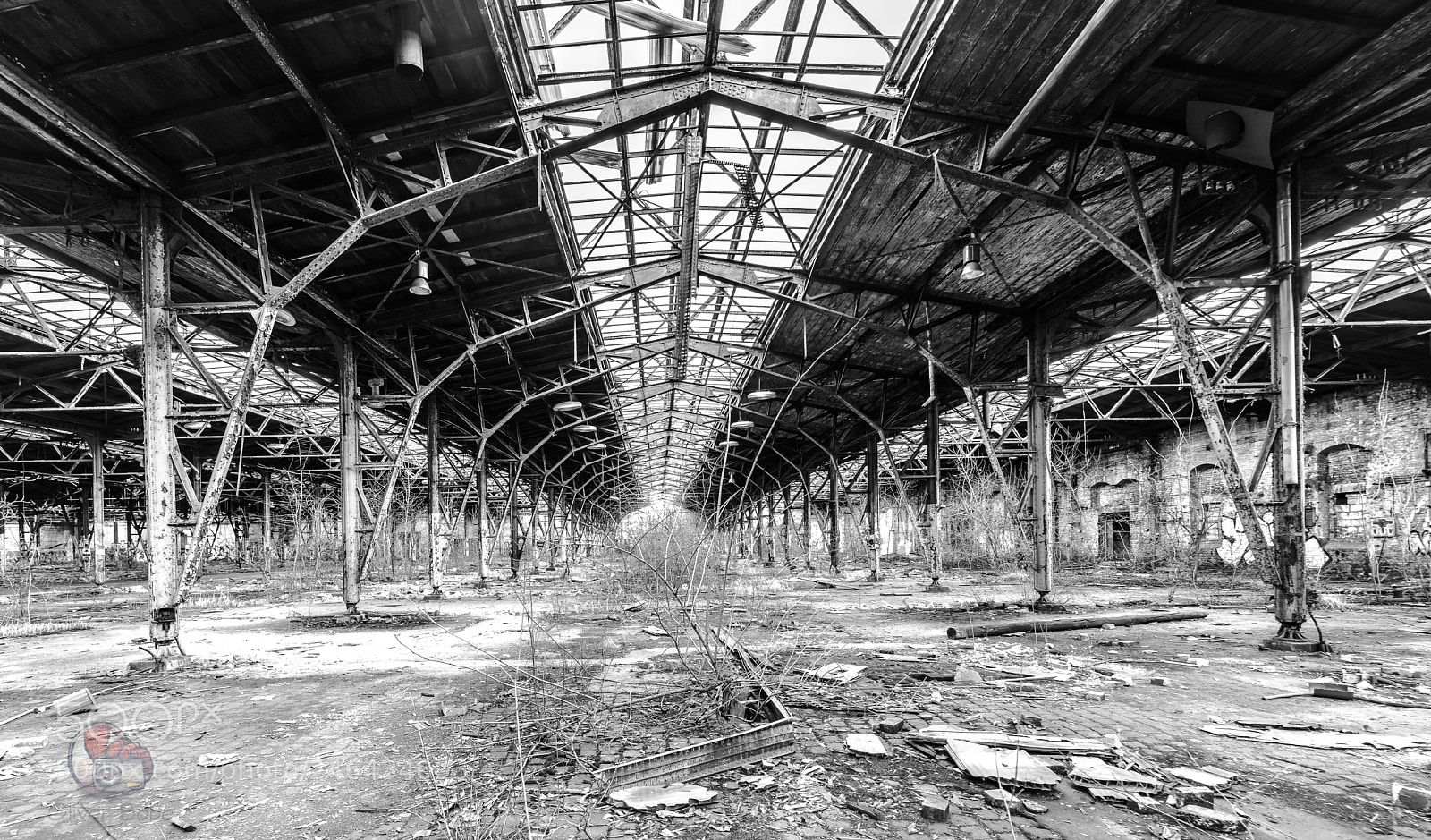 Sony a7R II sample photo. Endstation photography