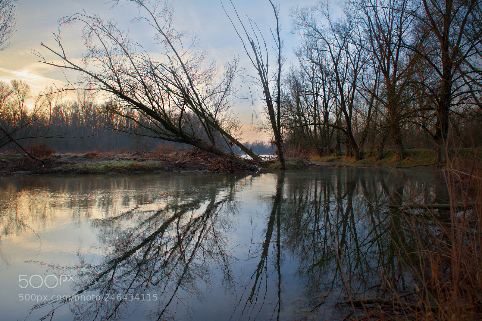 Nikon D700 sample photo. Area naturalistica del fiume photography