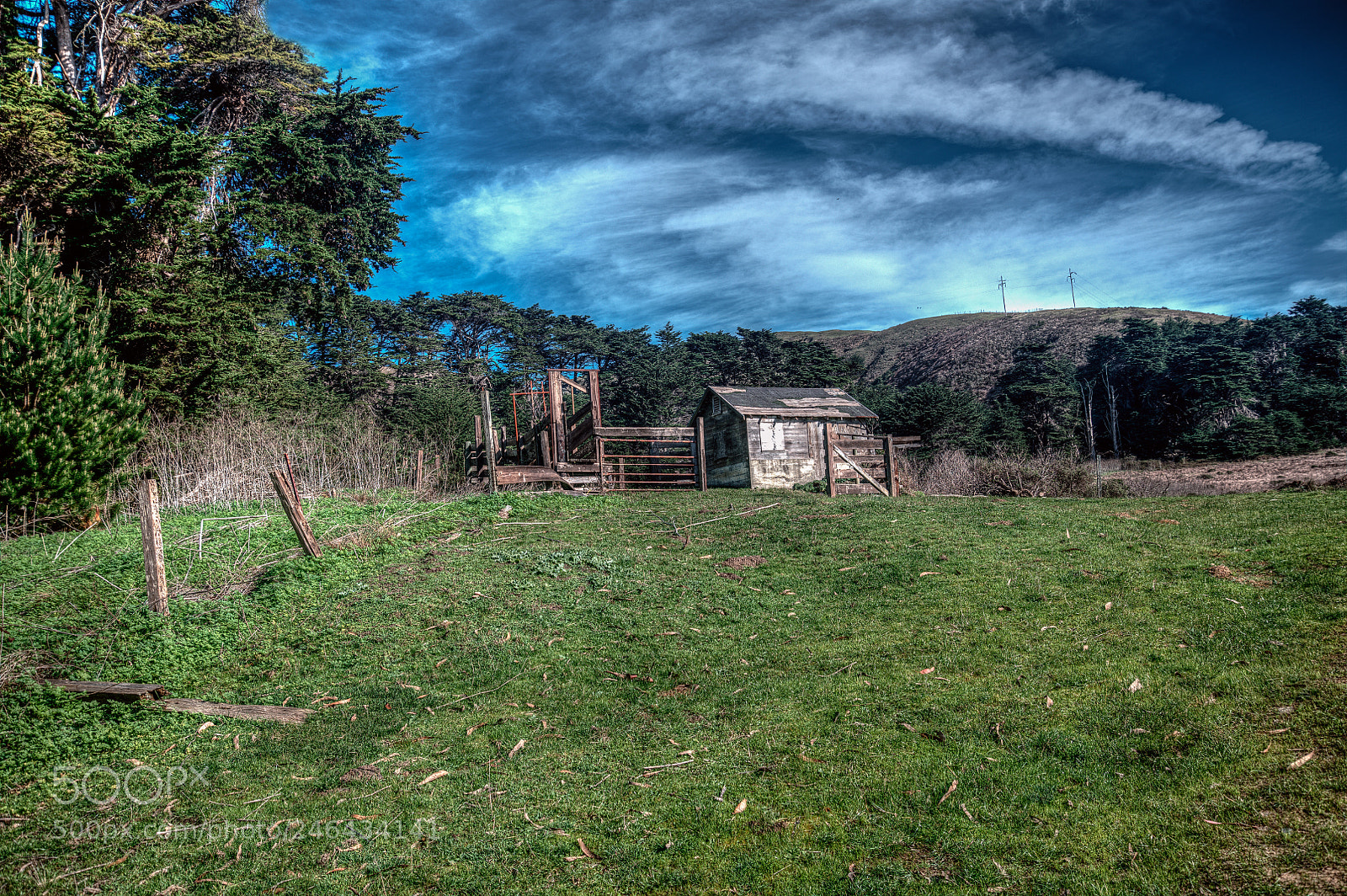 Nikon D850 sample photo. Little secluded cabin photography