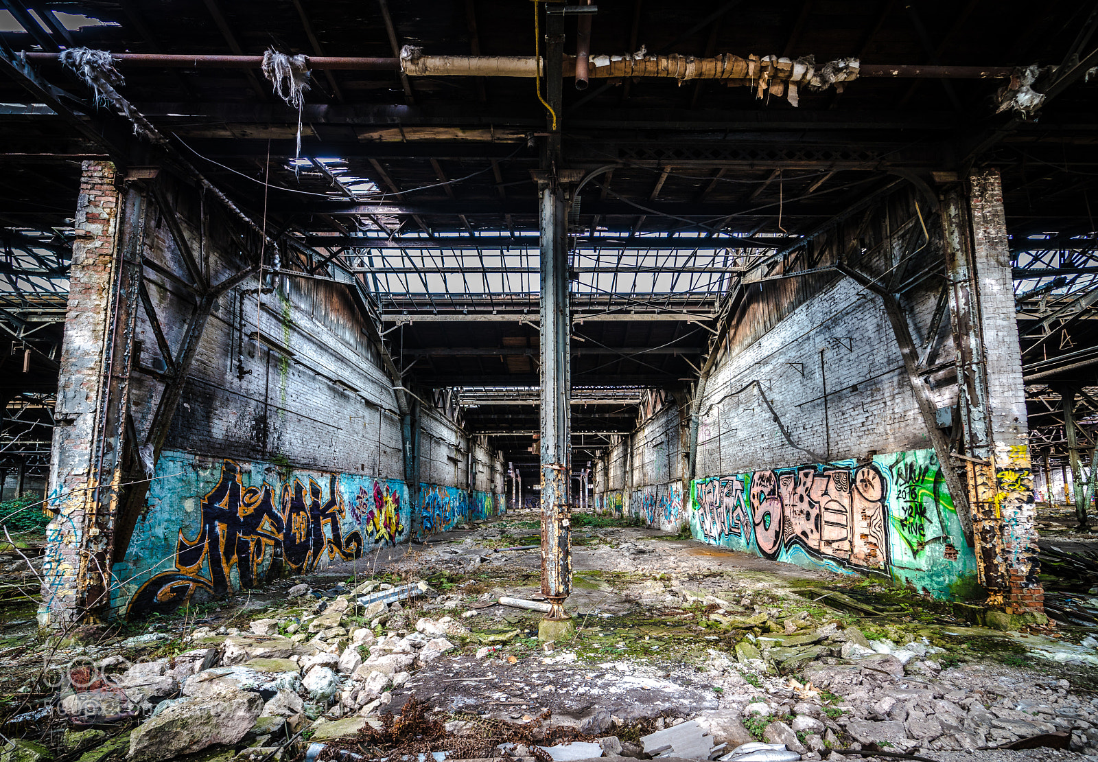 Sony a7R II sample photo. Bunt photography