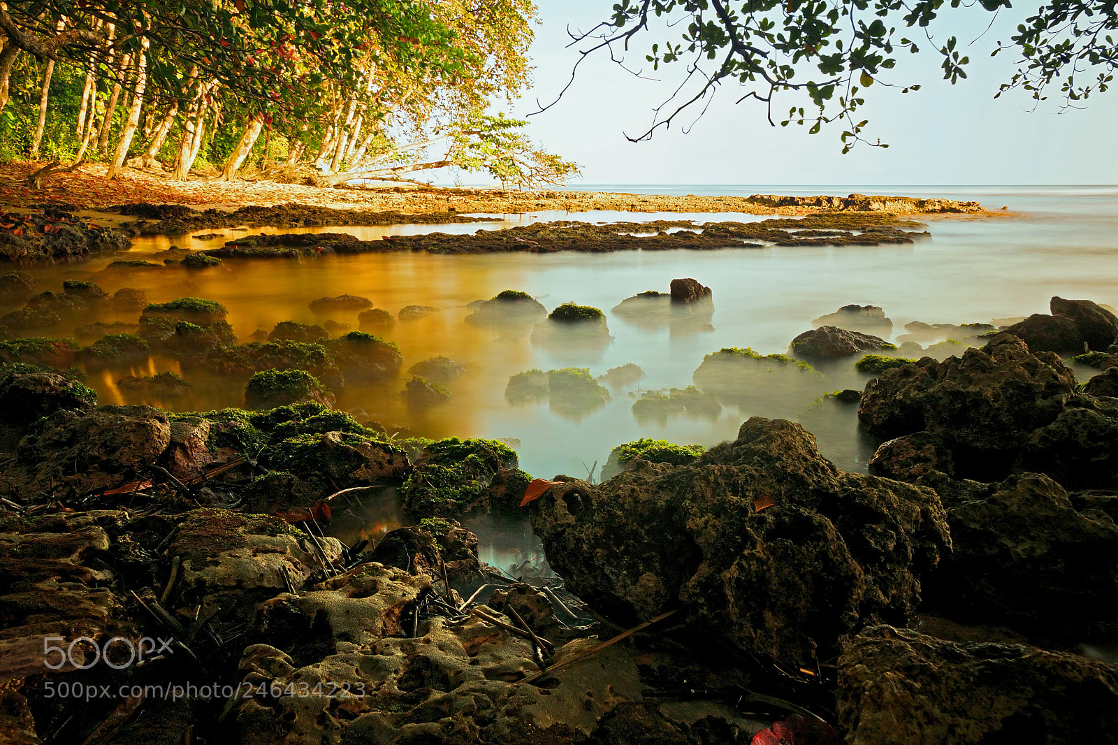 Sony SLT-A77 sample photo. Exposed coral reefs, costa photography