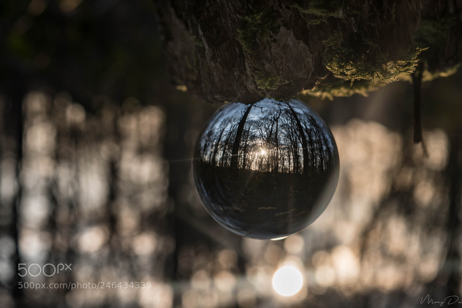 Nikon D5500 sample photo. Une goutte d'eau dans photography