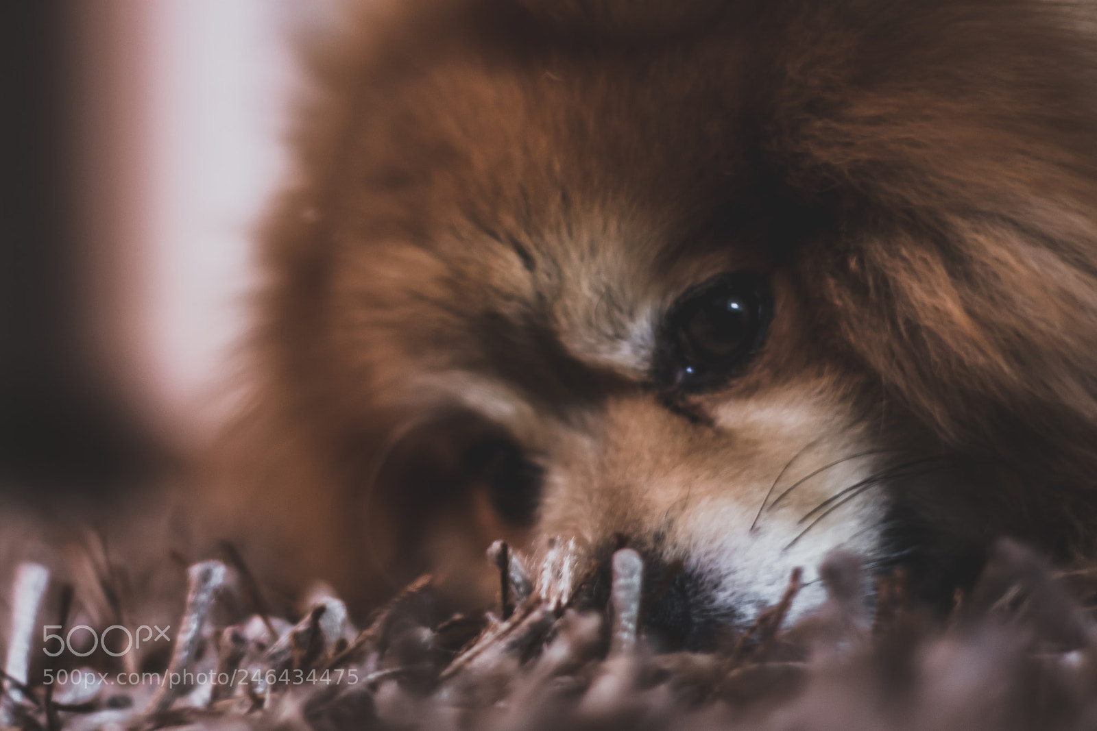 Nikon D3400 sample photo. Lvm photography