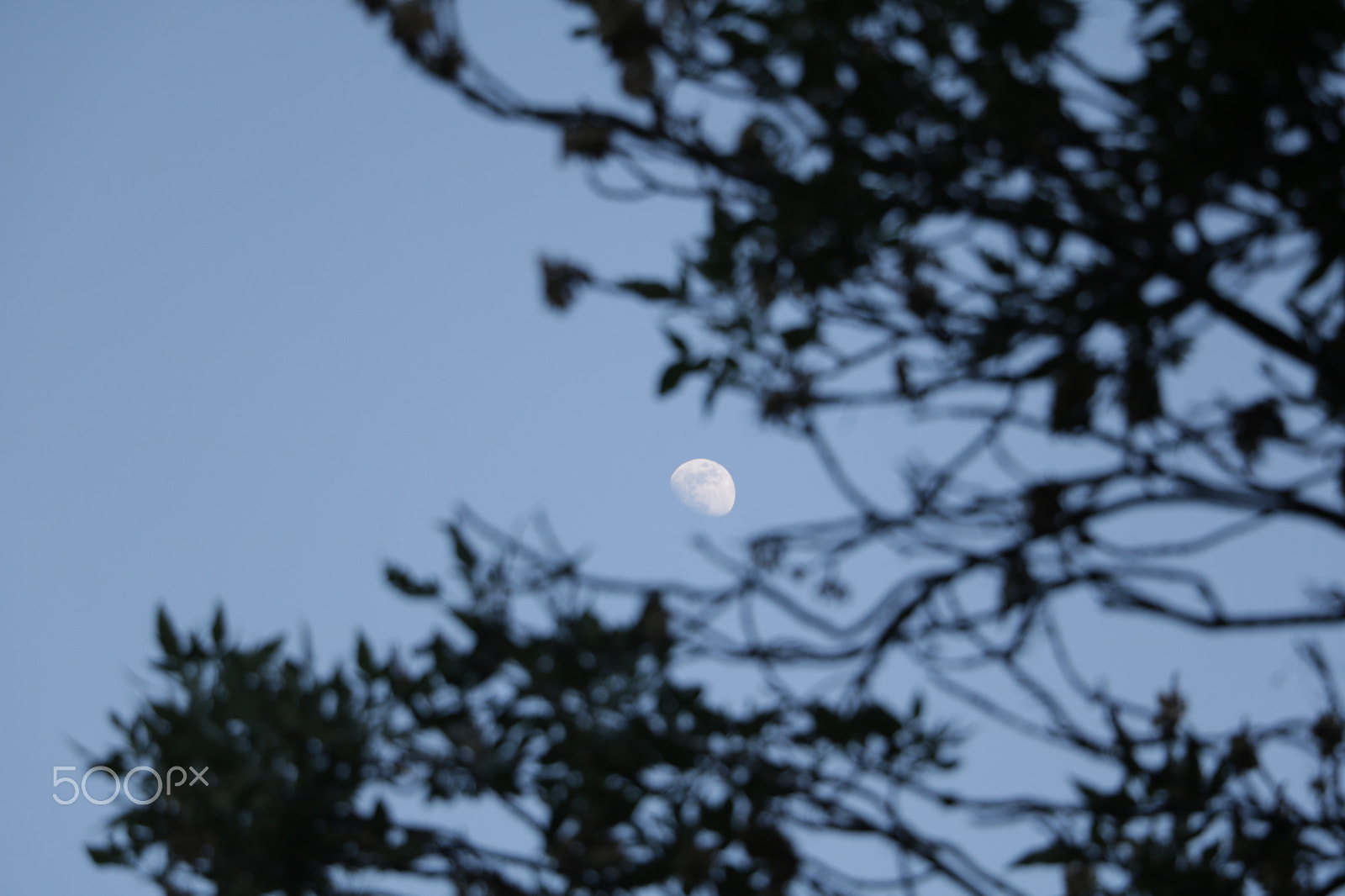 Canon EOS 760D (EOS Rebel T6s / EOS 8000D) sample photo. Moon photography