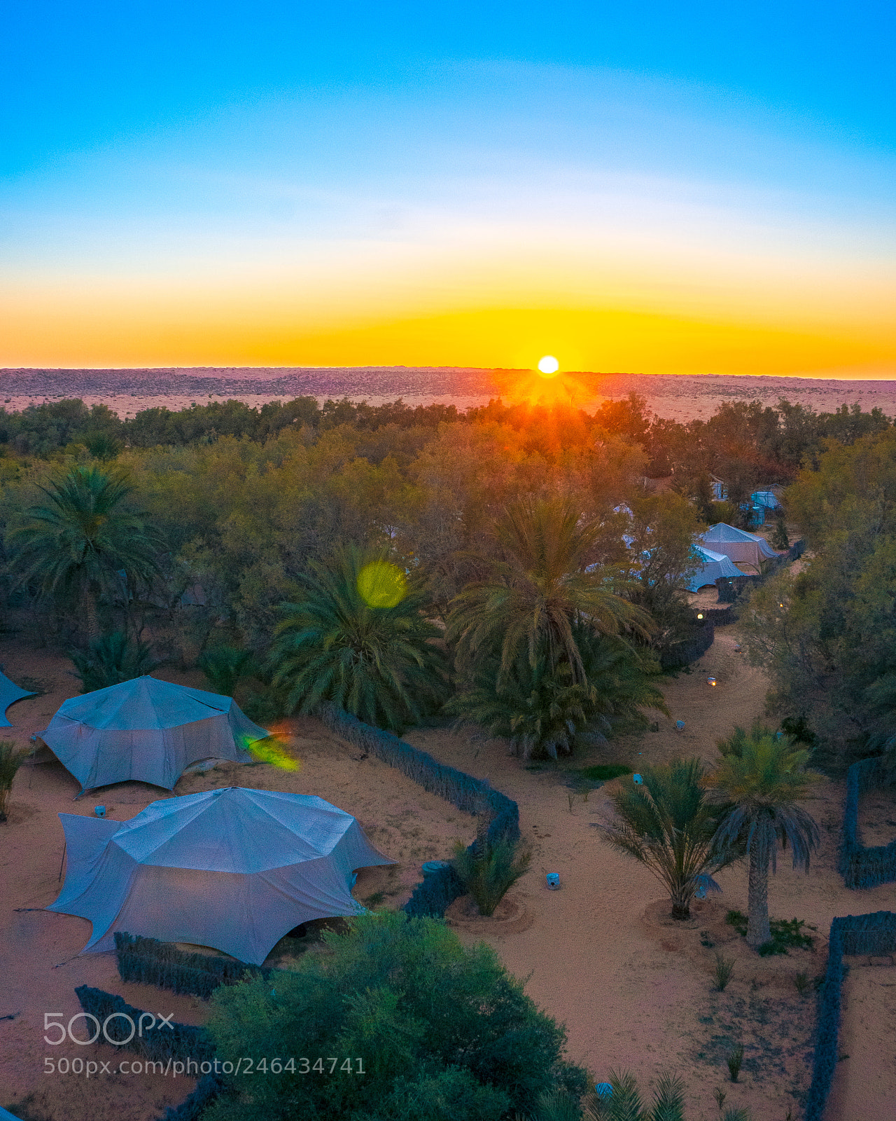 Sony Alpha NEX-5N sample photo. Sunset in the oasis photography
