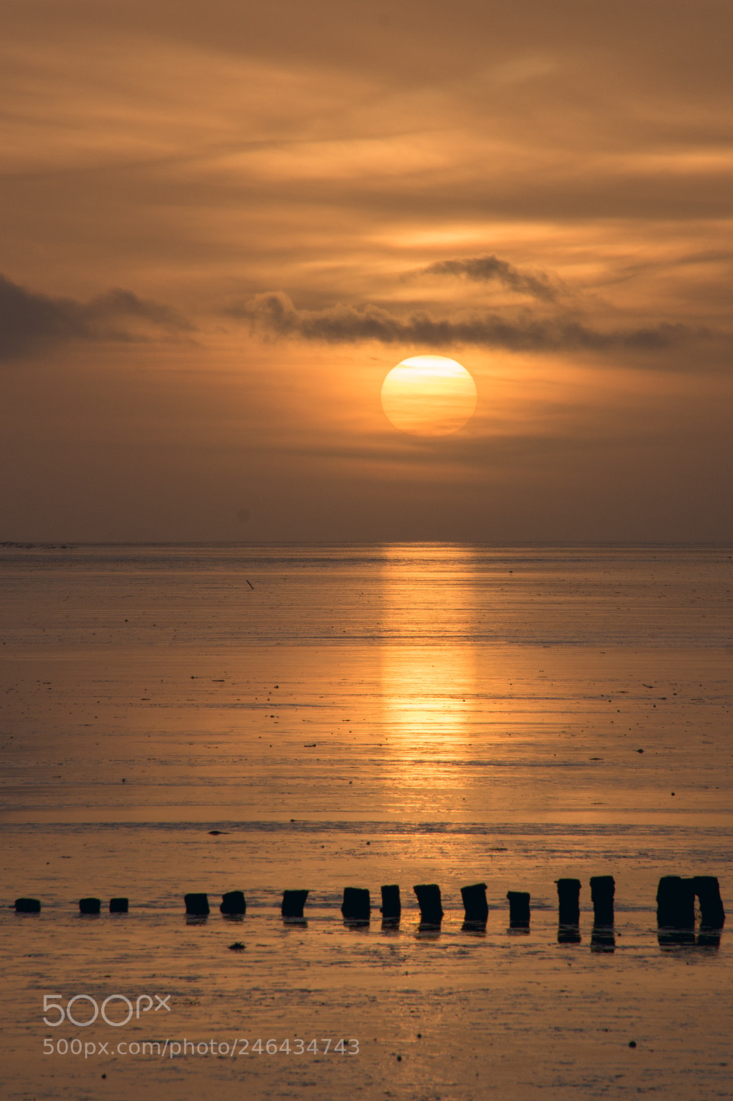 Sony SLT-A99V sample photo. Wish you were here photography