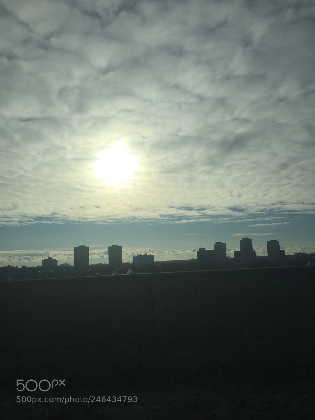 Apple iPhone 6 sample photo. Untitled photography