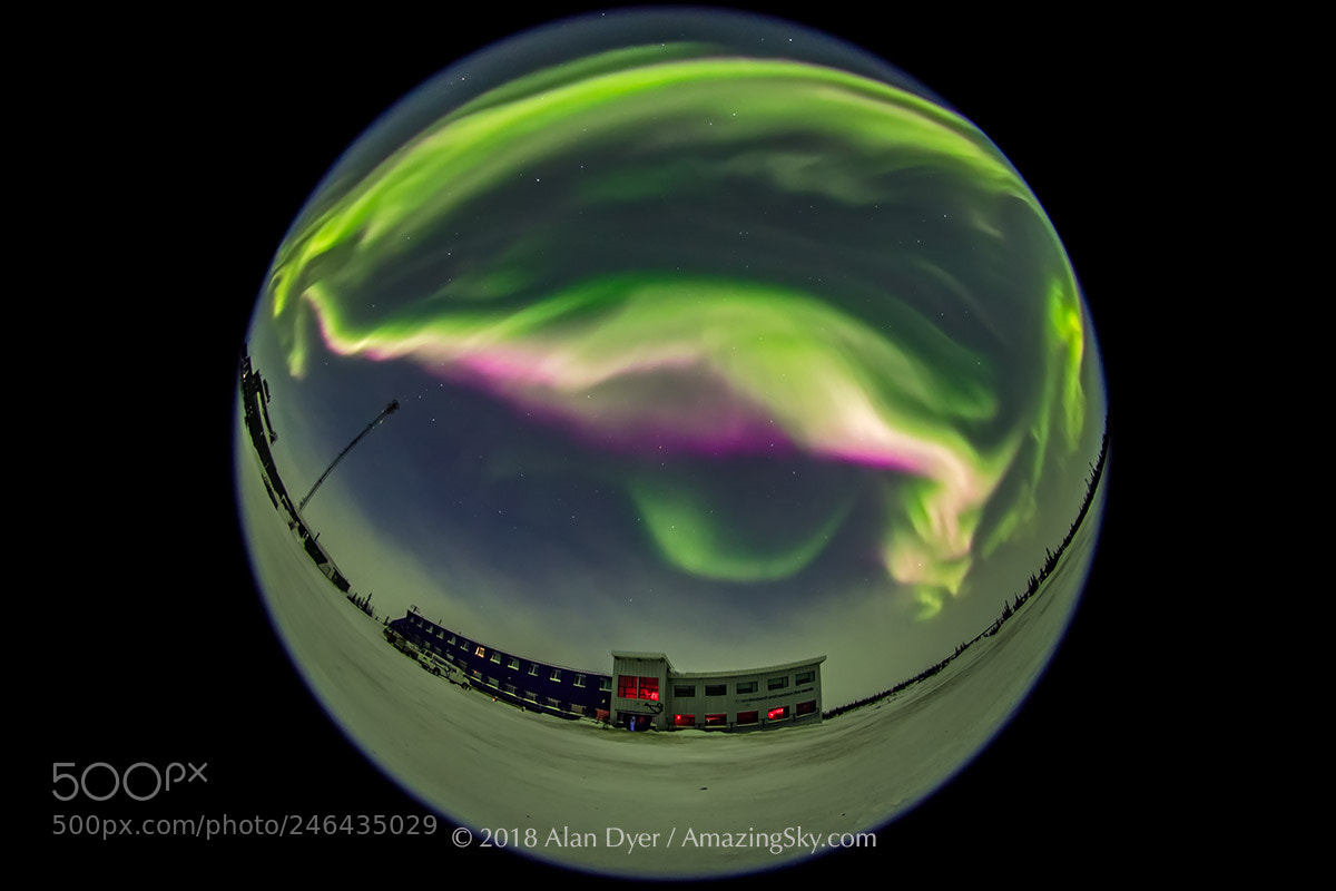 Canon EOS 6D Mark II sample photo. All-sky aurora with pink photography