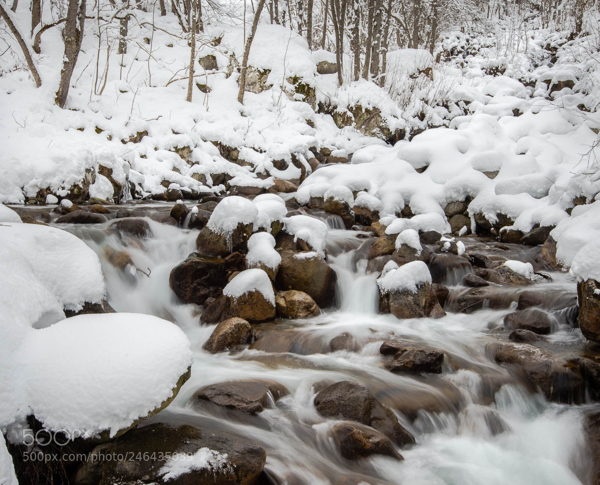 Nikon D800 sample photo. Snow photography