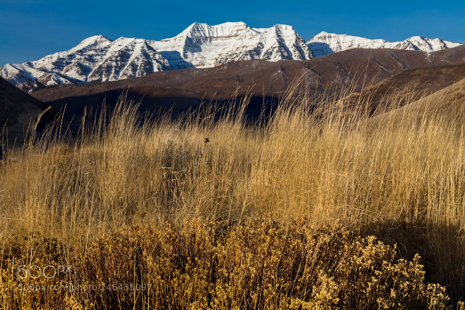 Canon EOS 5DS sample photo. Mountain grass with mount photography