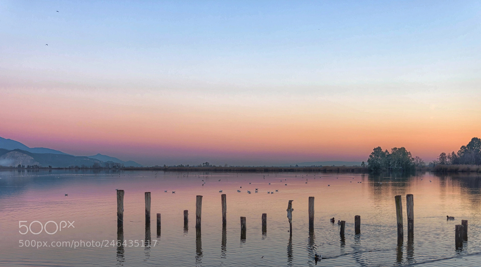 Nikon D7200 sample photo. Quiet at sunset photography