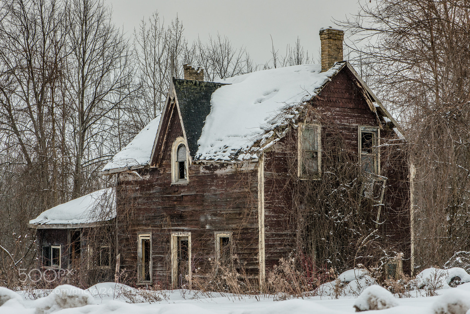 Nikon D800 sample photo. Cold draft... photography