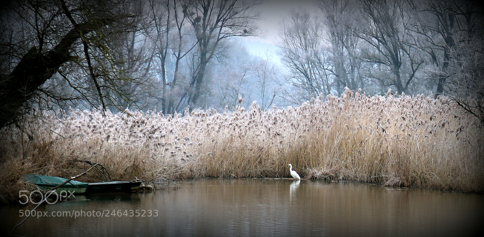 Canon EOS 750D (EOS Rebel T6i / EOS Kiss X8i) sample photo. "ruhe im schilf" photography