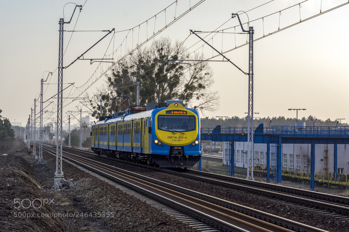 Nikon D5200 sample photo. En57 al-1531 photography