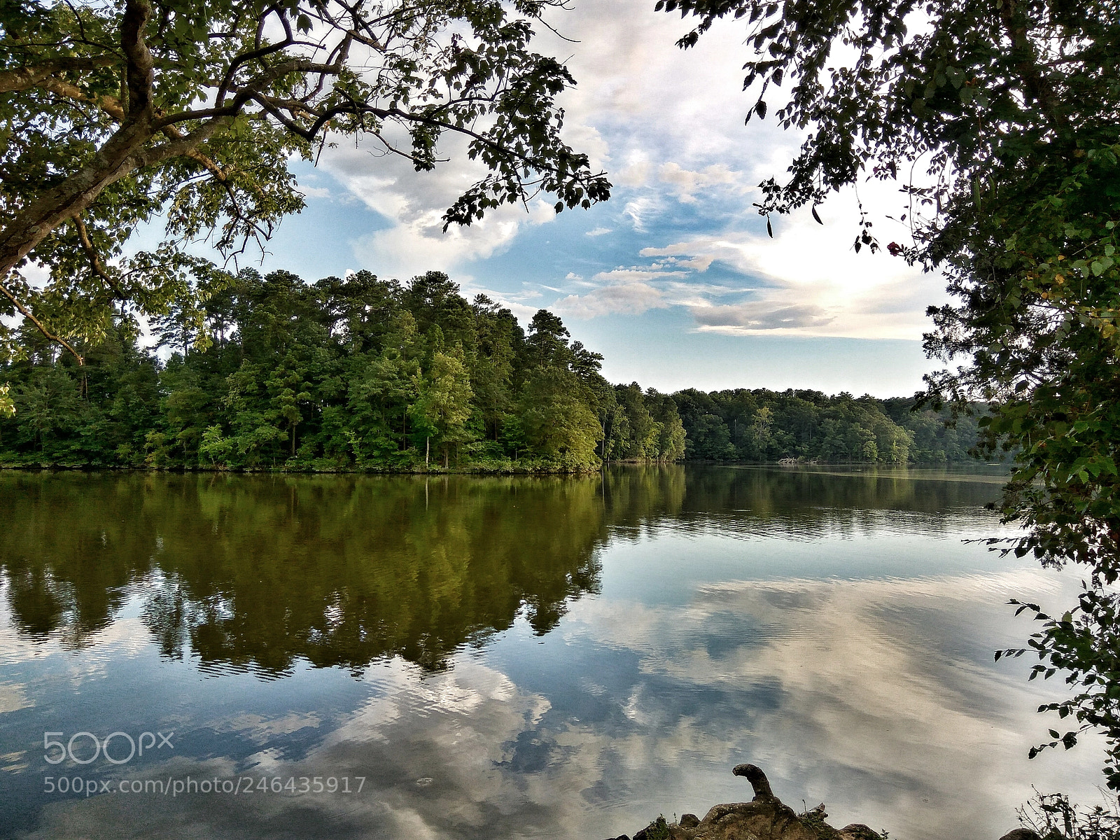 Xiaomi Redmi Note3 sample photo. Lake raleigh photography
