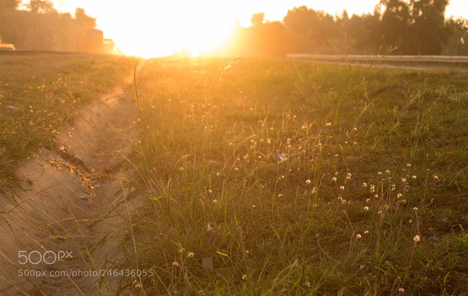 Canon EOS 650D (EOS Rebel T4i / EOS Kiss X6i) sample photo. A yellow sunset seen photography