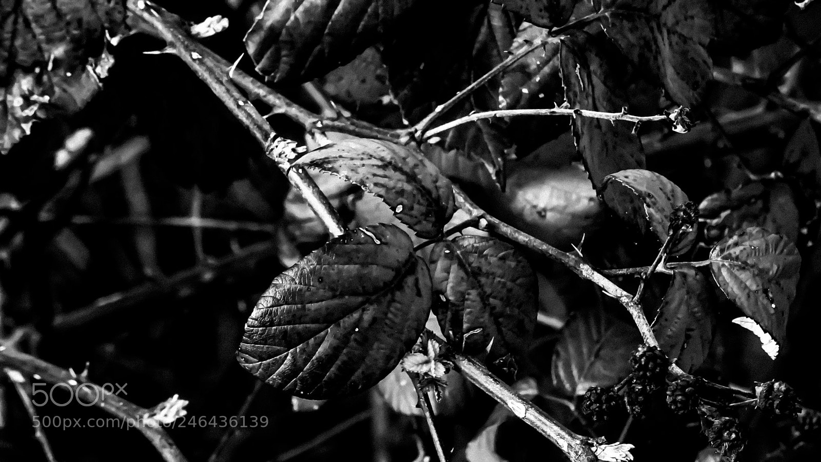 Sony DSC-HX60 sample photo. Light of darkness photography