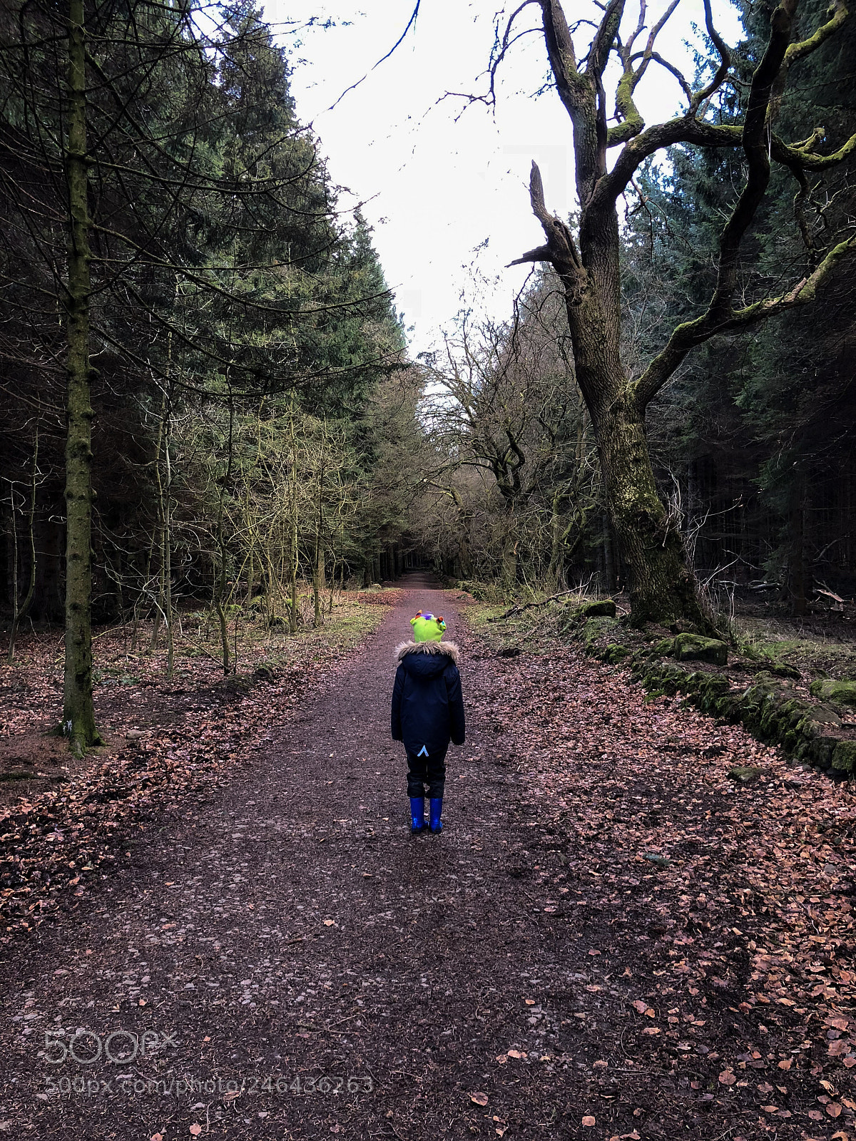 Apple iPhone X sample photo. A walk into the photography