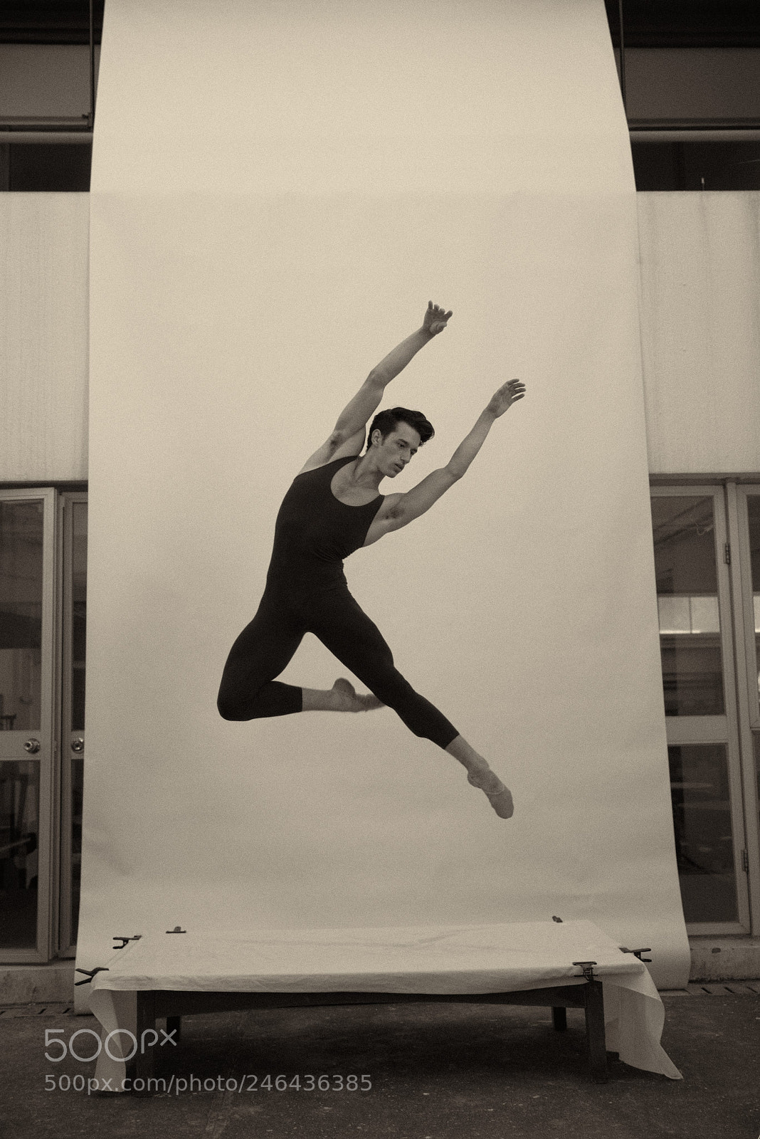 Nikon D810 sample photo. Dancing with forrest photography