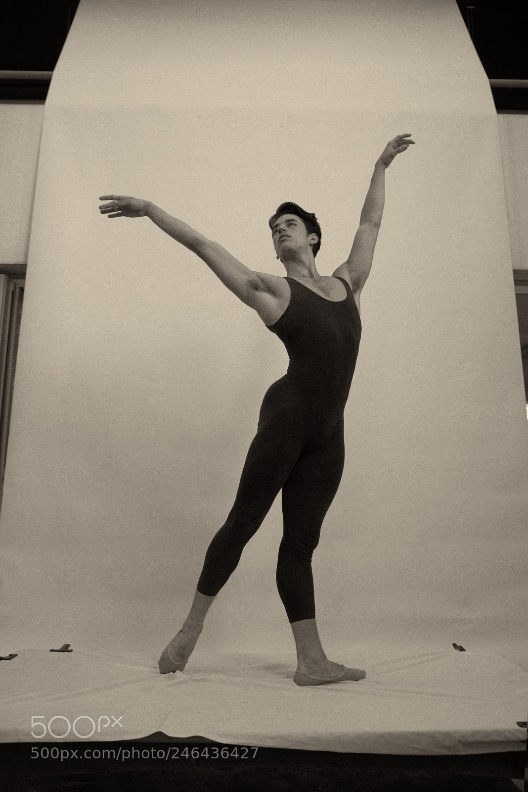 Nikon D810 sample photo. Dancing with forrest photography