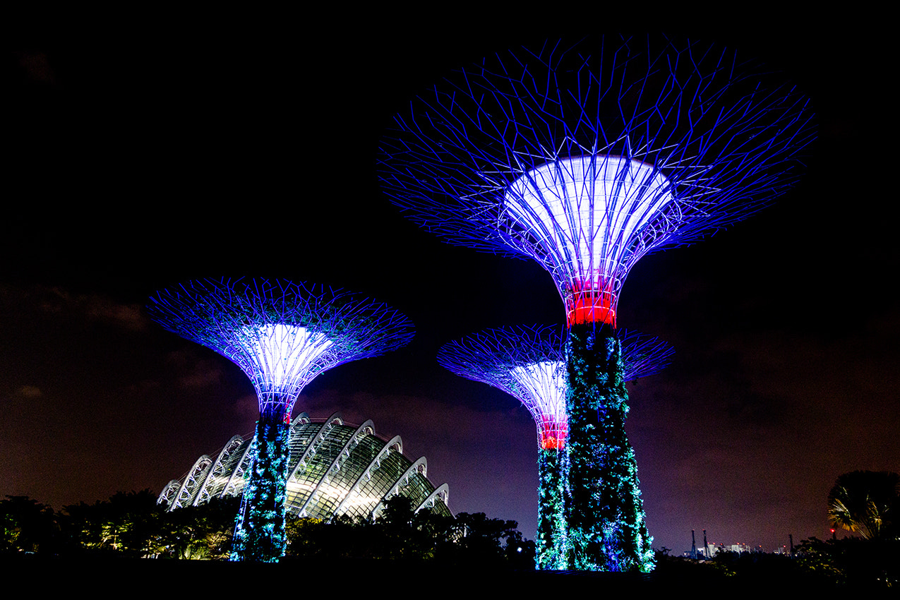 Nikon 1 AW1 sample photo. Gardens by the bay photography