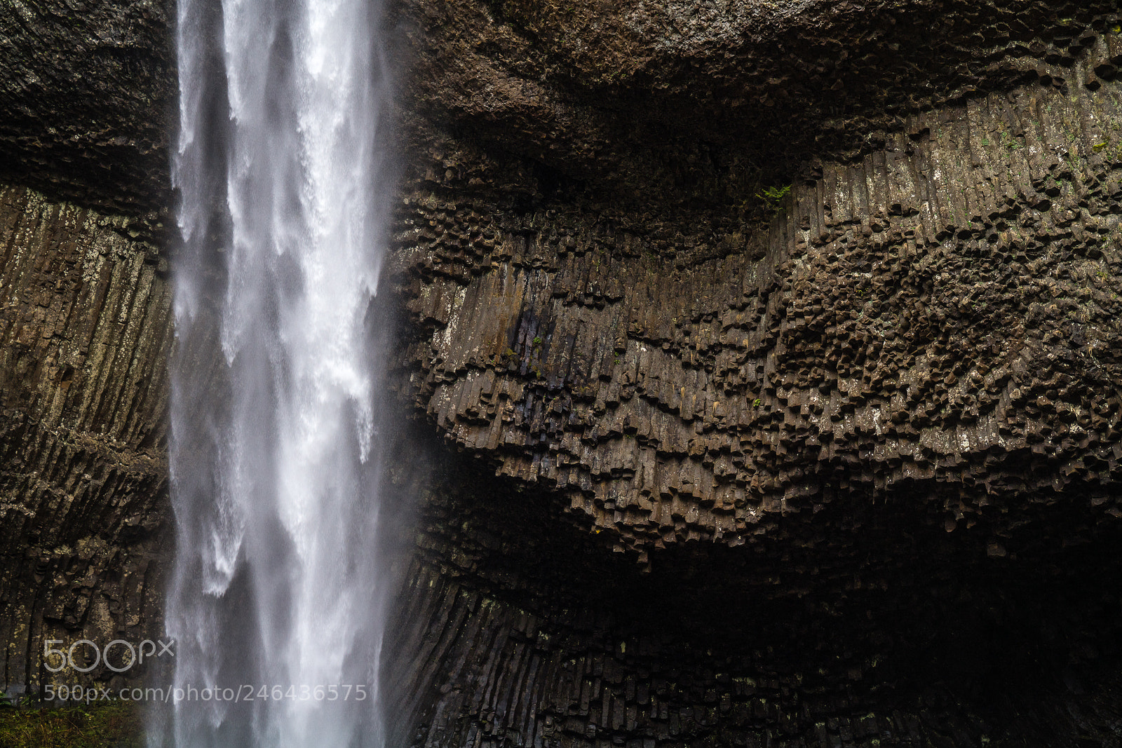 Sony a7R III sample photo. Pattern and flow photography
