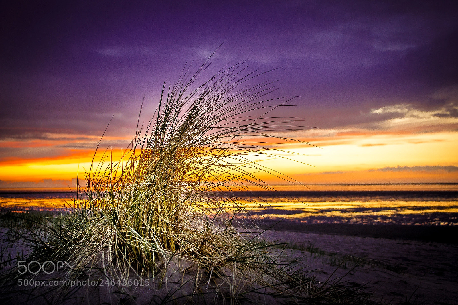Sony Alpha NEX-5 sample photo. North sea germany photography