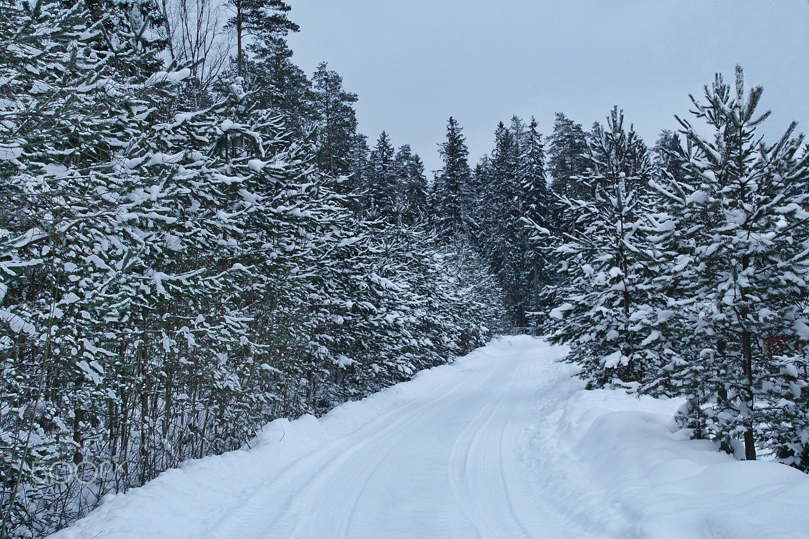 Canon EOS 1000D (EOS Digital Rebel XS / EOS Kiss F) sample photo. Winter road photography