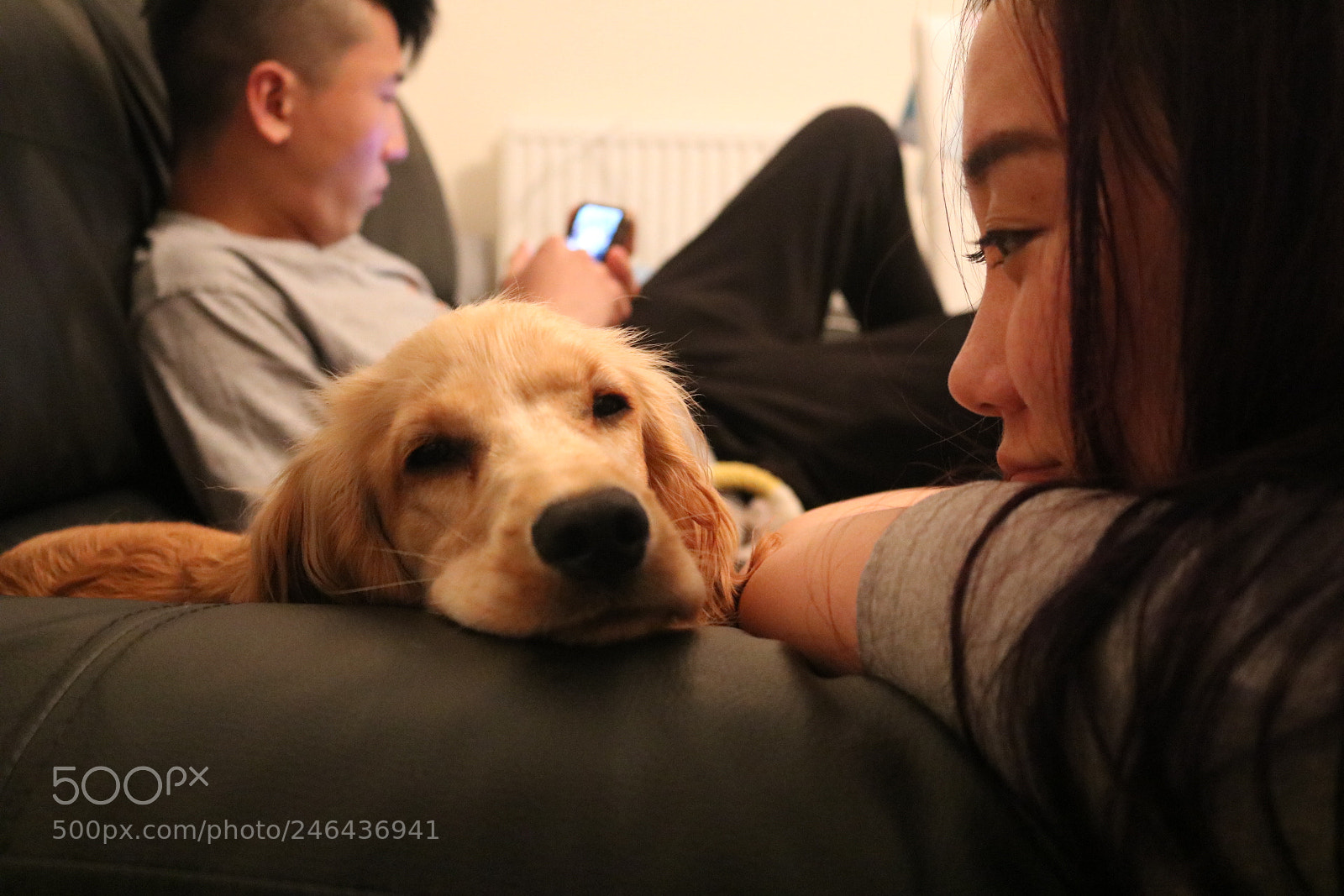Canon EOS 750D (EOS Rebel T6i / EOS Kiss X8i) sample photo. Untitled photography