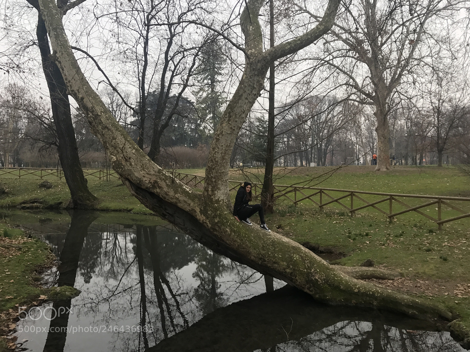 Apple iPhone 7 sample photo. Untitled photography