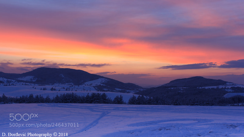 Canon EOS 60D sample photo. Zlatibor photography