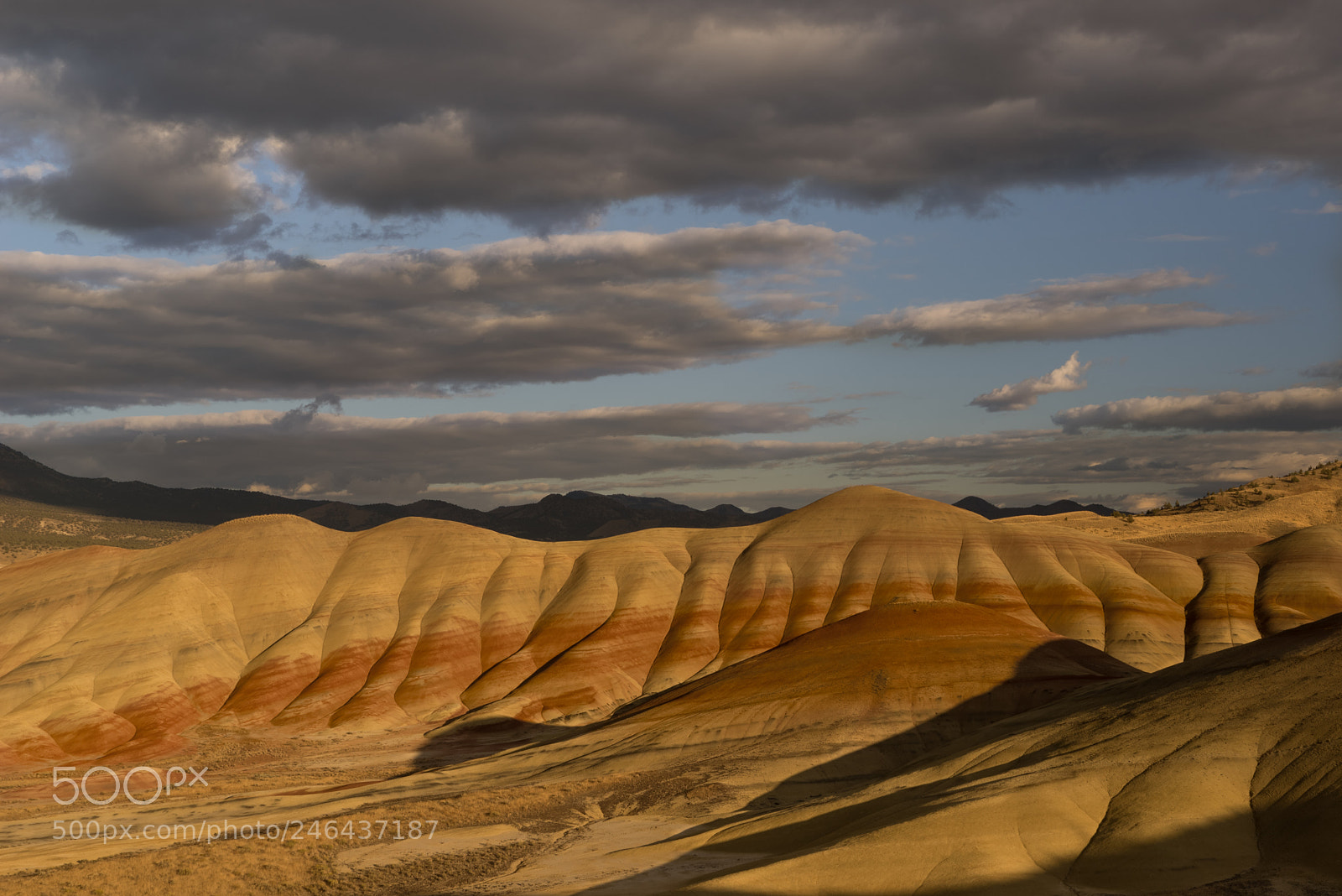 Sony a7R sample photo. Painted hills photography