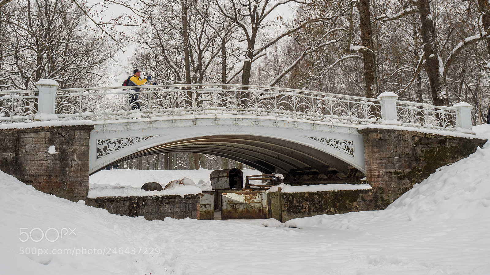 Olympus OM-D E-M5 II sample photo. Winter park photography