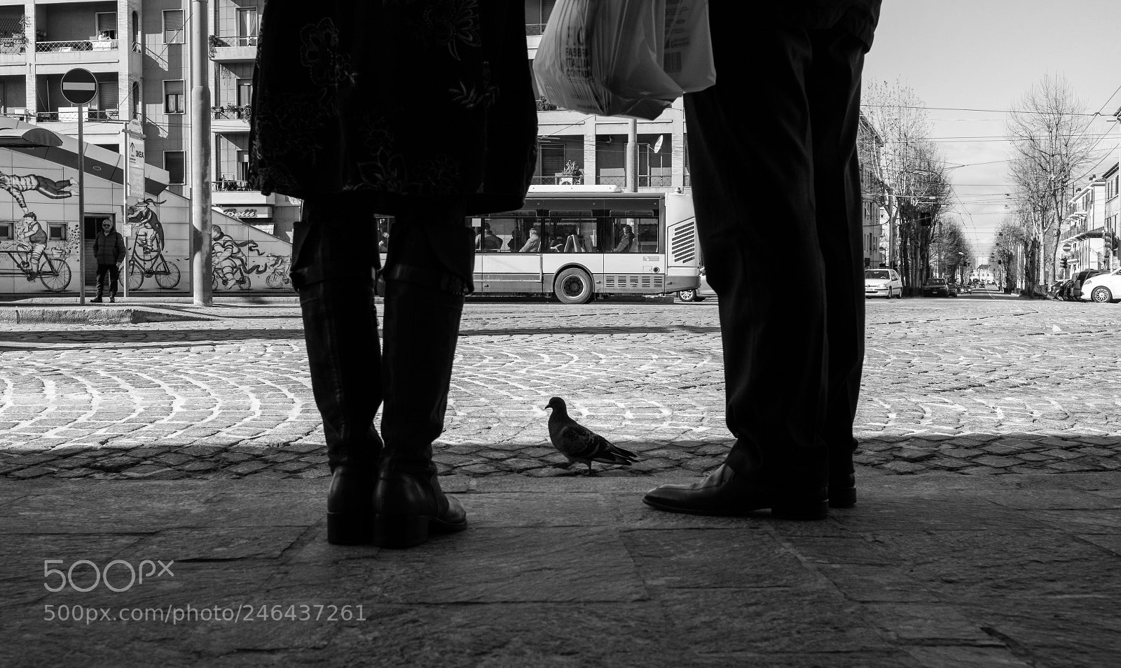 Leica M (Typ 240) sample photo. Untitled photography