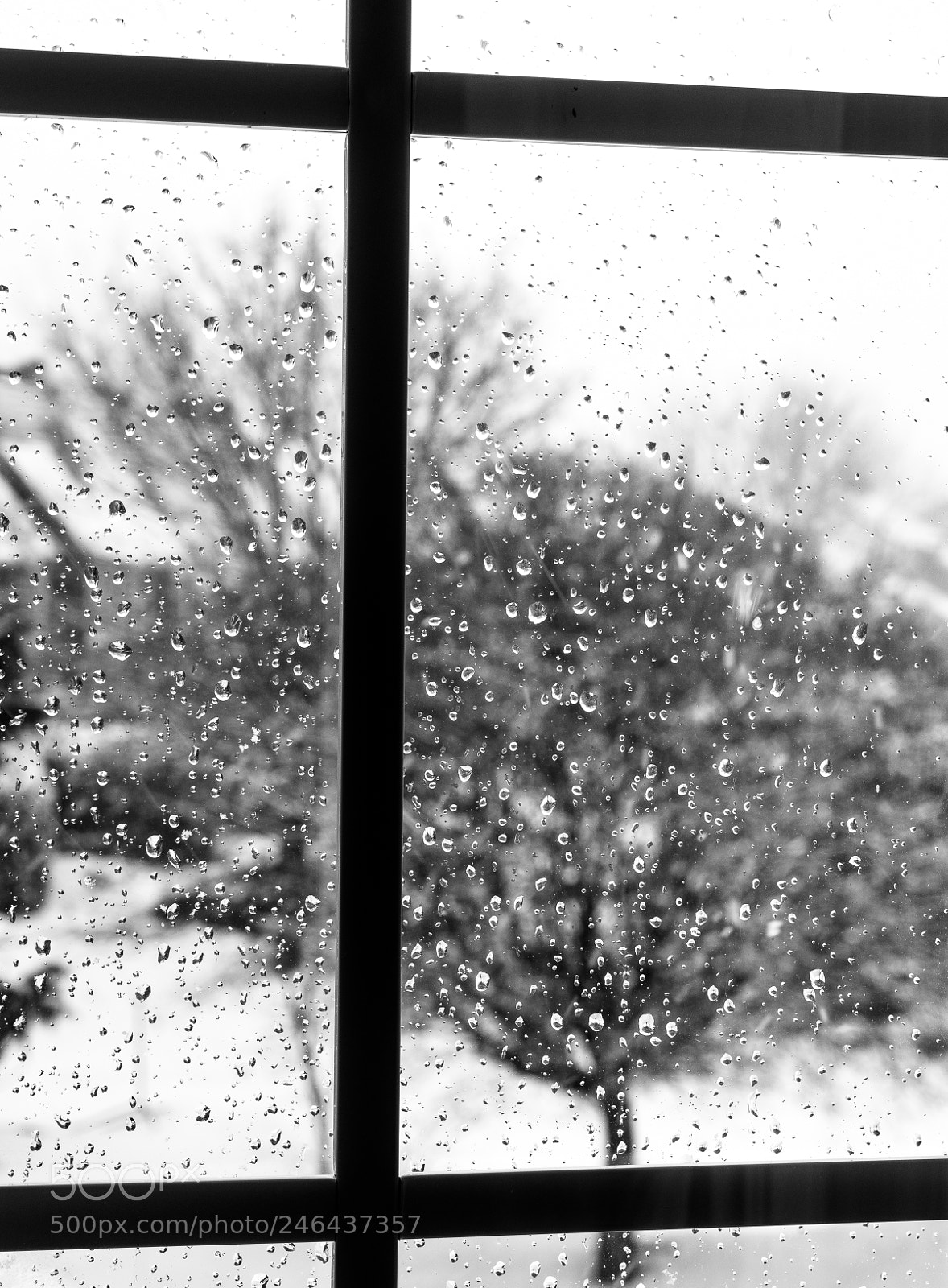 Sony a7 sample photo. Neige moulli e wet photography