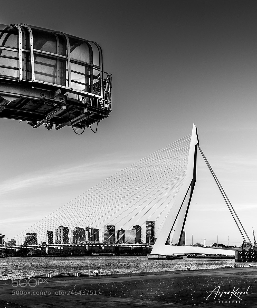 Nikon D810 sample photo. Cruise terminal rotterdam &  erasmusbridge photography
