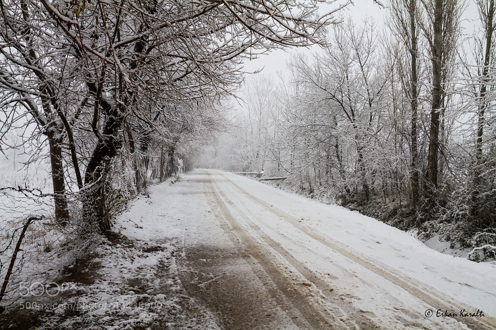 Canon EOS 7D sample photo. Winter photography