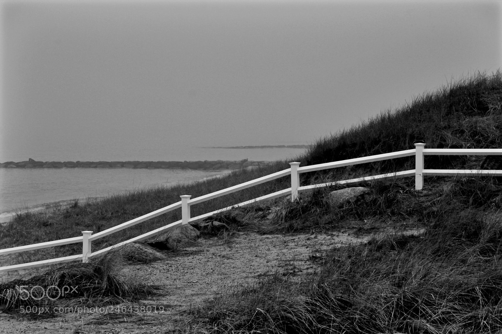 Canon EOS 40D sample photo. Foggy morning at the photography